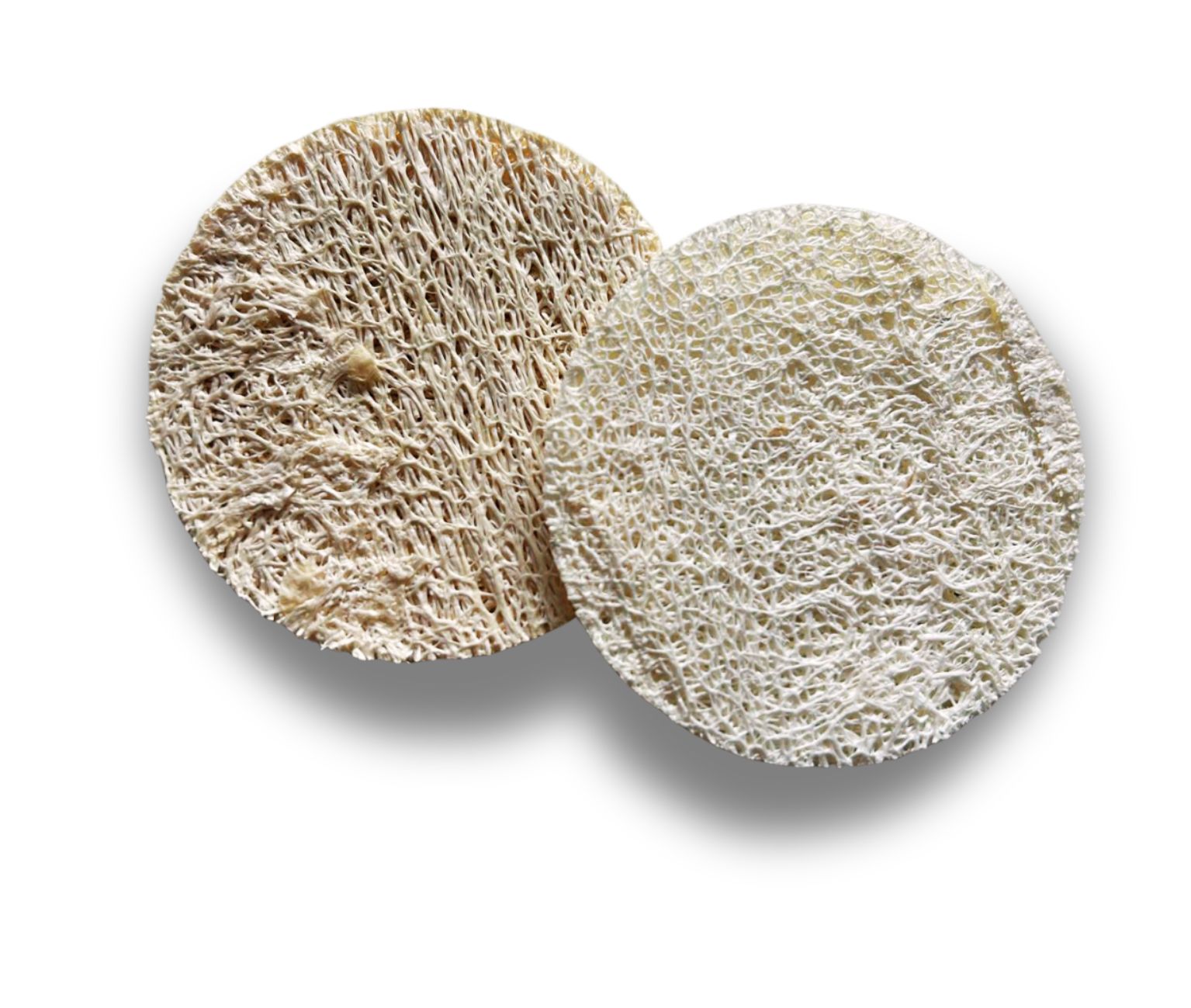 Luffa-Peeling-Pads im 5er-Pack